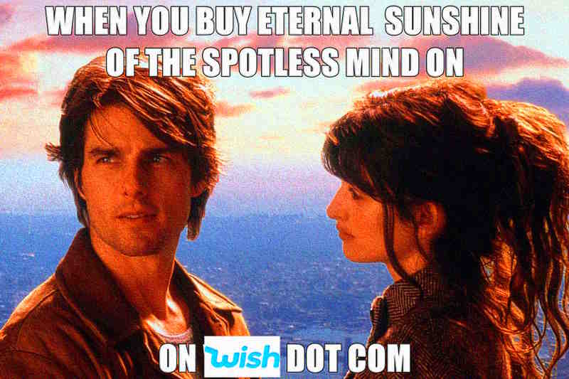 WHEN YOU BUY ETERNAL SUNSHINE OF THE SPOTLESS MIND ON

ON WISH DOT COM